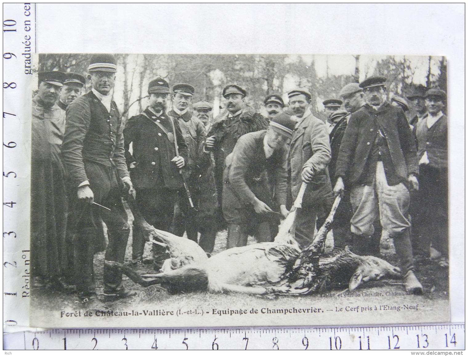 CPA (37) Indre Et Loire - Forêt De Château La Vallière - Equipage De Champchevrier - Le Cerf Pris à L'Etang Neuf - Other & Unclassified