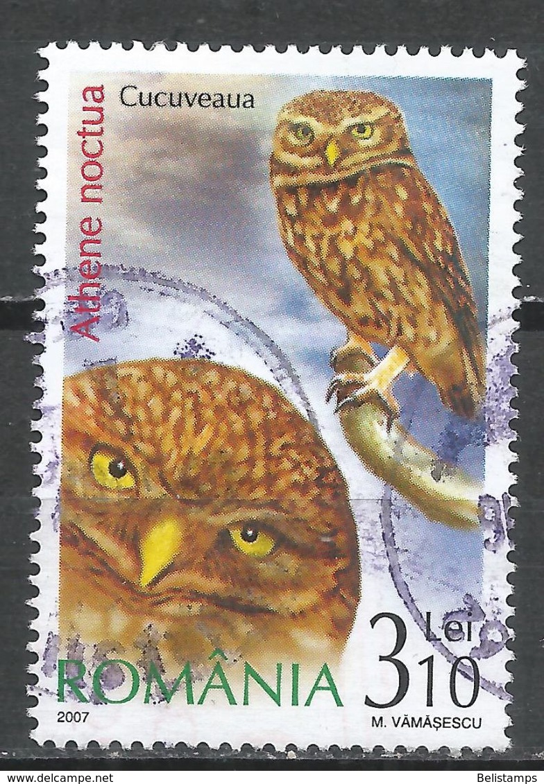 Romania 2007. Scott #4939 (U) Athene Noctua, Little Owl, Bird Of Prey - Oblitérés