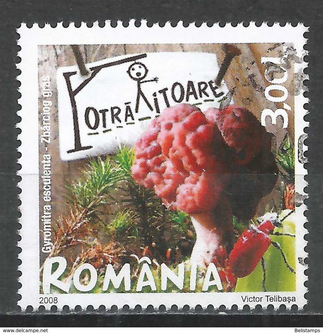 Romania 2008. Scott #5016 (U) Gyromitra Exculenta, Mushrooms - Oblitérés