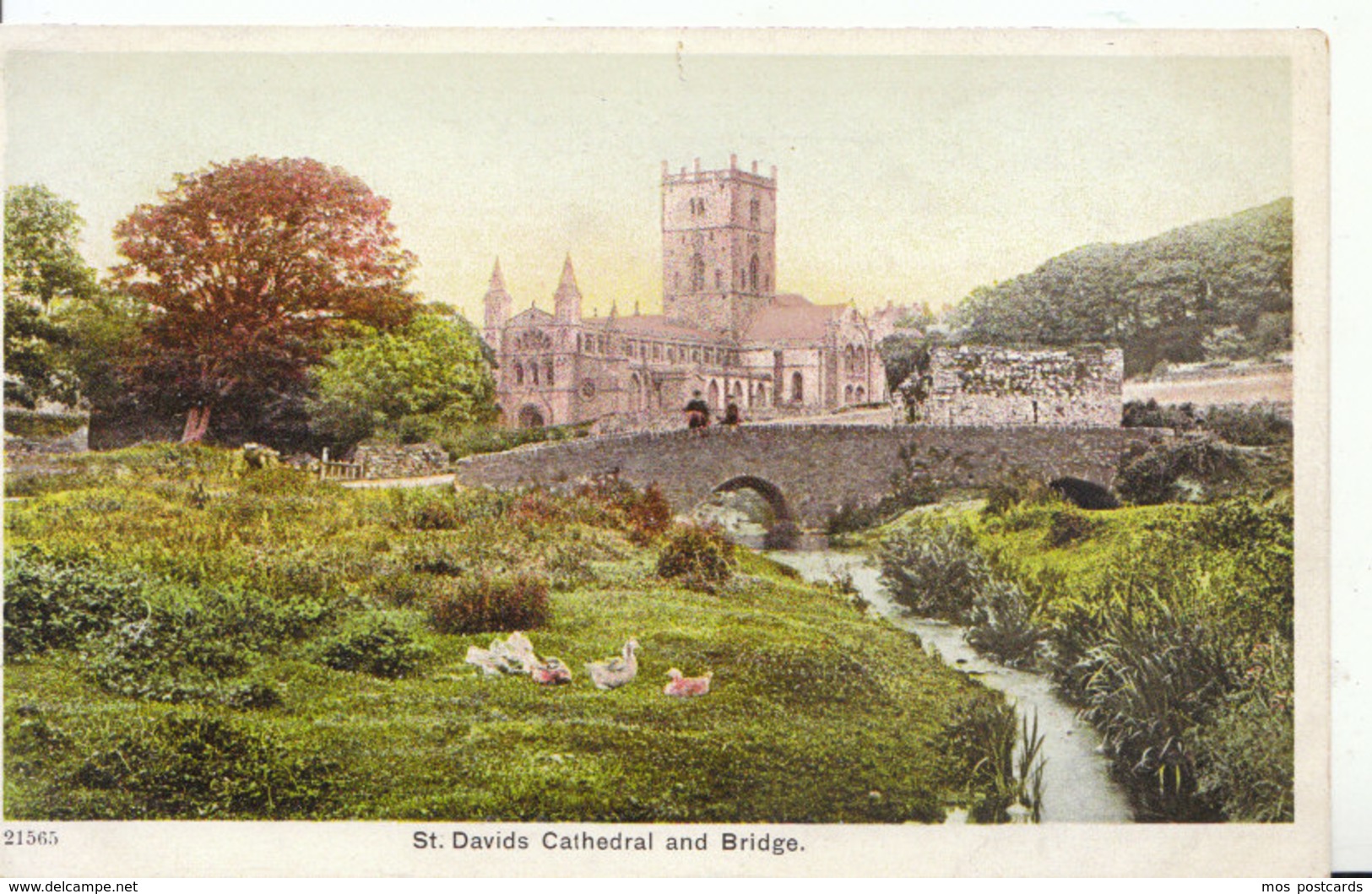 Wales Postcard - St Davids Cathedral And Bridge - Pembrokeshire - Ref ND32 - Pembrokeshire