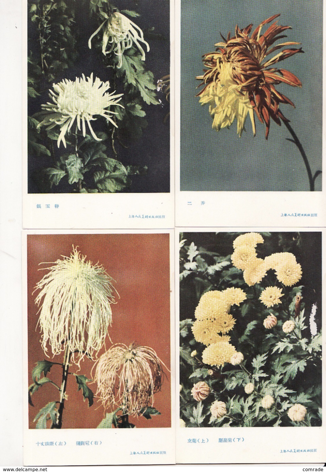 China Rare1950. Flowers Chrysanthemum. Beijing. Booklet Set Of 9 Pieces - China