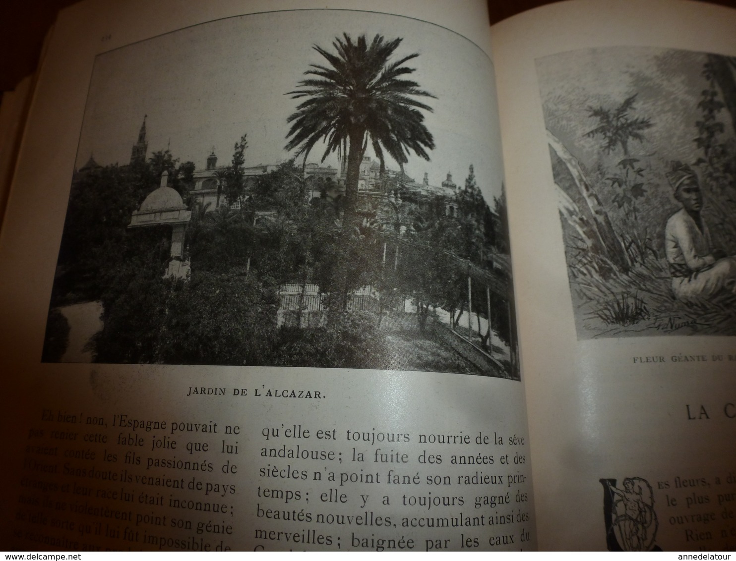 1904 Annamites,Séville,Châtiment des femmes,Francfort-sur-le-Mein,Cambodge,Pêche homards en Bretagne,Einsiedeln,etc