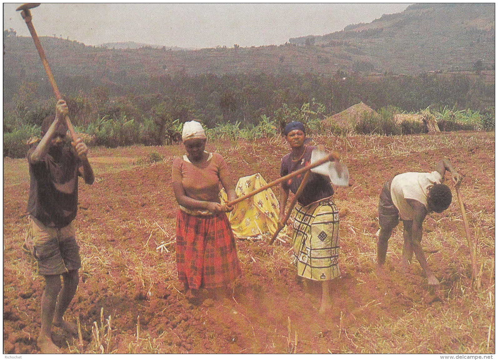 Agriculteurs Labourant à La Houe (Rwanda) - Rwanda