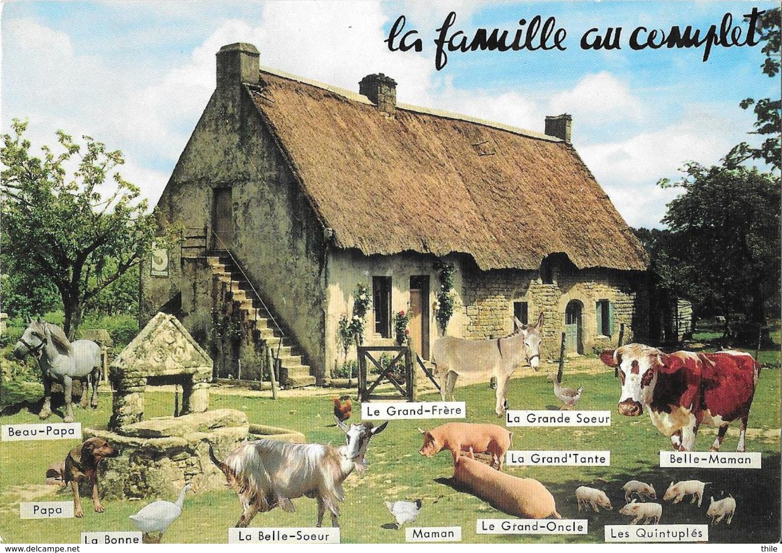 HUMOUR - La Famille Au Complet - Animaux De La Ferme - Elevage