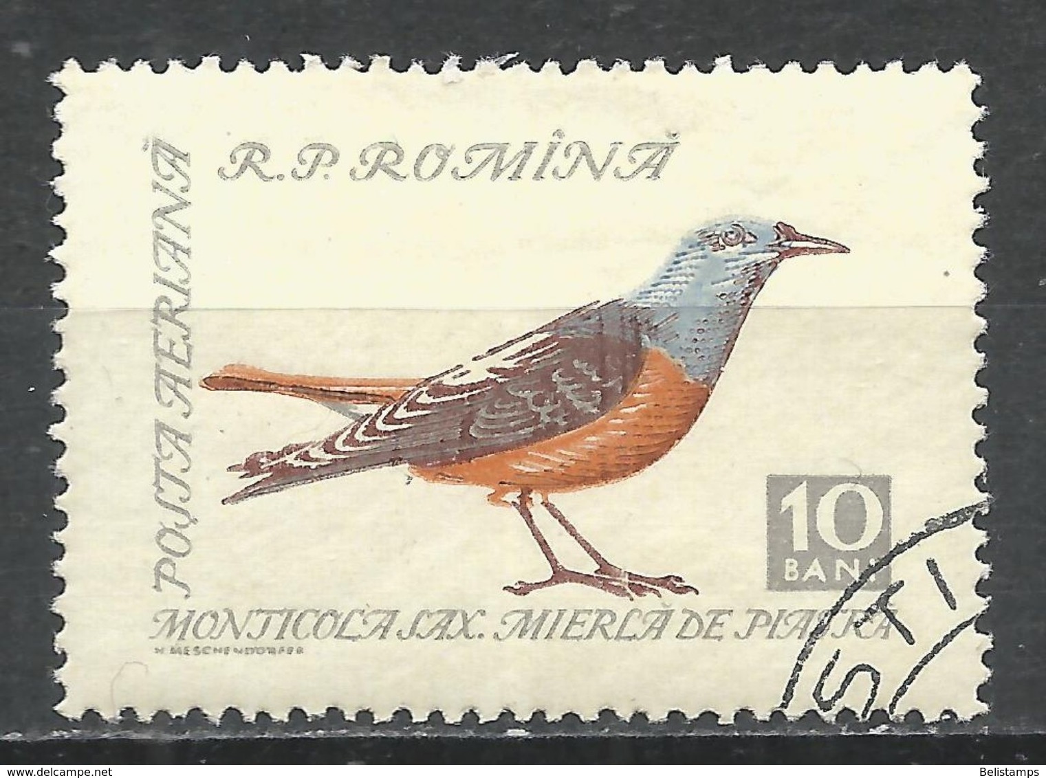 Romania 1959. Scott #C60 (U) Bird, Rock Thrush * - Oblitérés