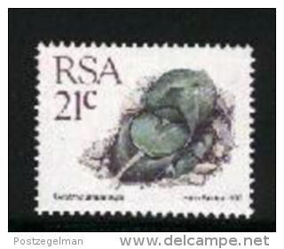 REPUBLIC OF SOUTH AFRICA, 1990, MNH Stamp(s) Succulent 21 Cent, Nr(s.) 794 - Nuovi