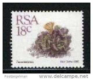 REPUBLIC OF SOUTH AFRICA, 1989, MNH Stamp(s) Succulent 18 Cent, Nr(s) 770 - Unused Stamps