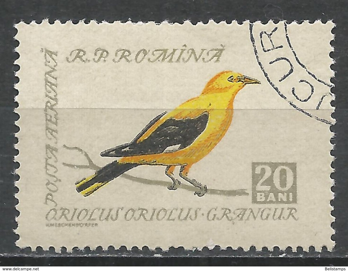 Romania 1959. Scott #C61 (U) Bird, European Golden Oriole * - Oblitérés