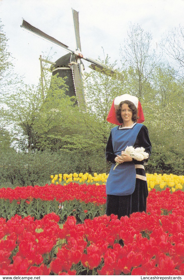 Postcard Keukenhof Lisse Holland Windmill And Tulips My Ref  B22366 - Lisse