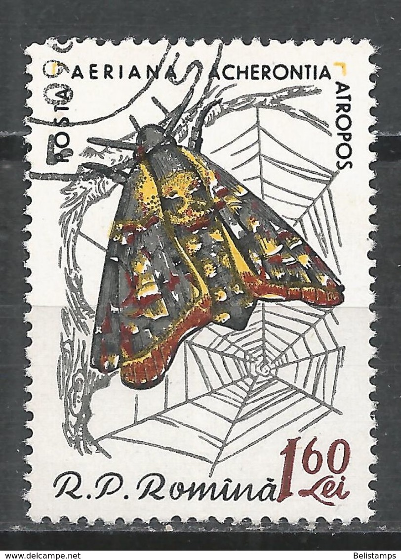 Romania 1960. Scott #C93 (U) Acherontia Atropos, Butterfly * - Oblitérés