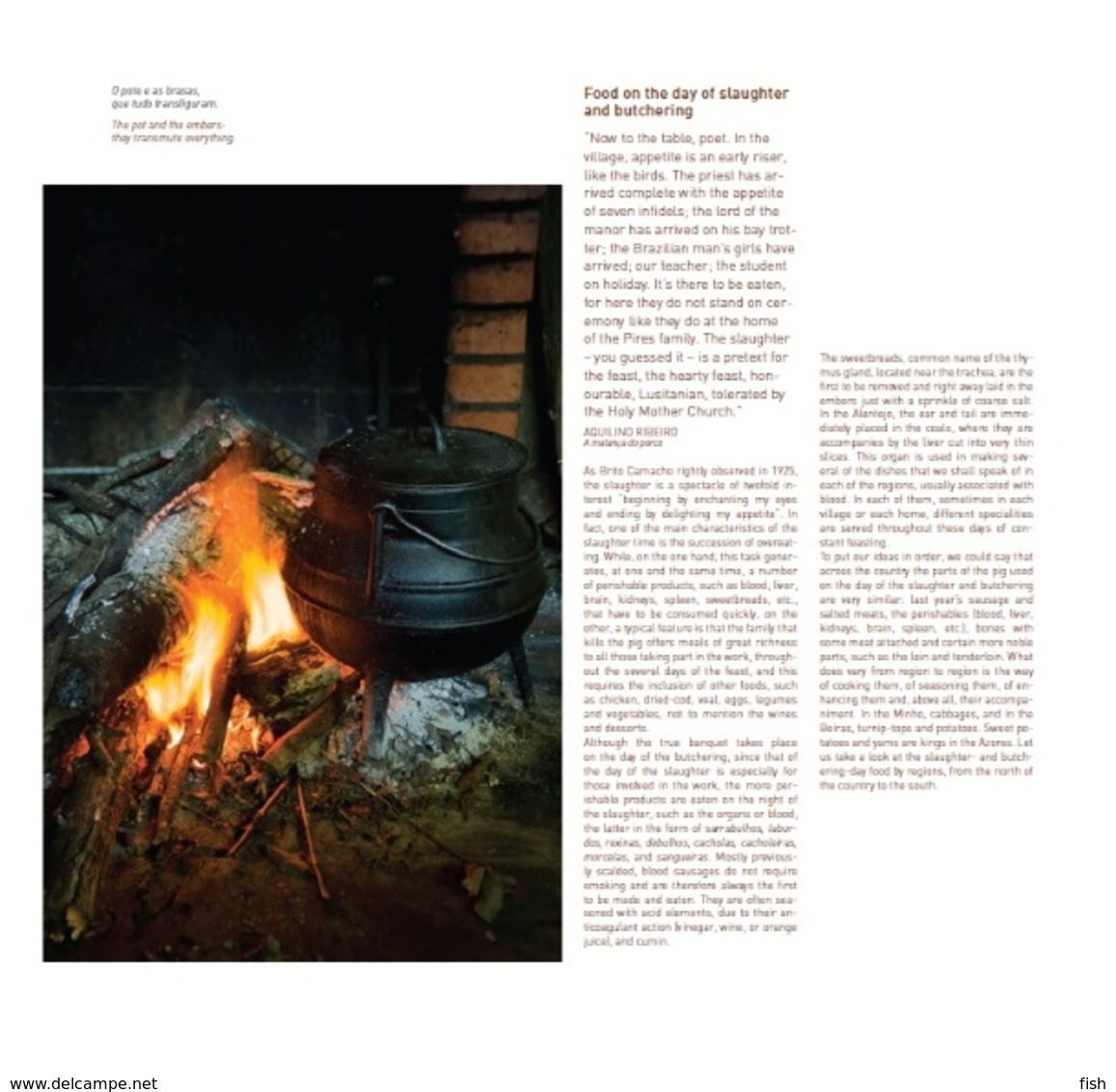 Portugal ** & CTT, Thematic Book With Stamps, Flavors Of Air And Fire 2013 (86422) - Boek Van Het Jaar