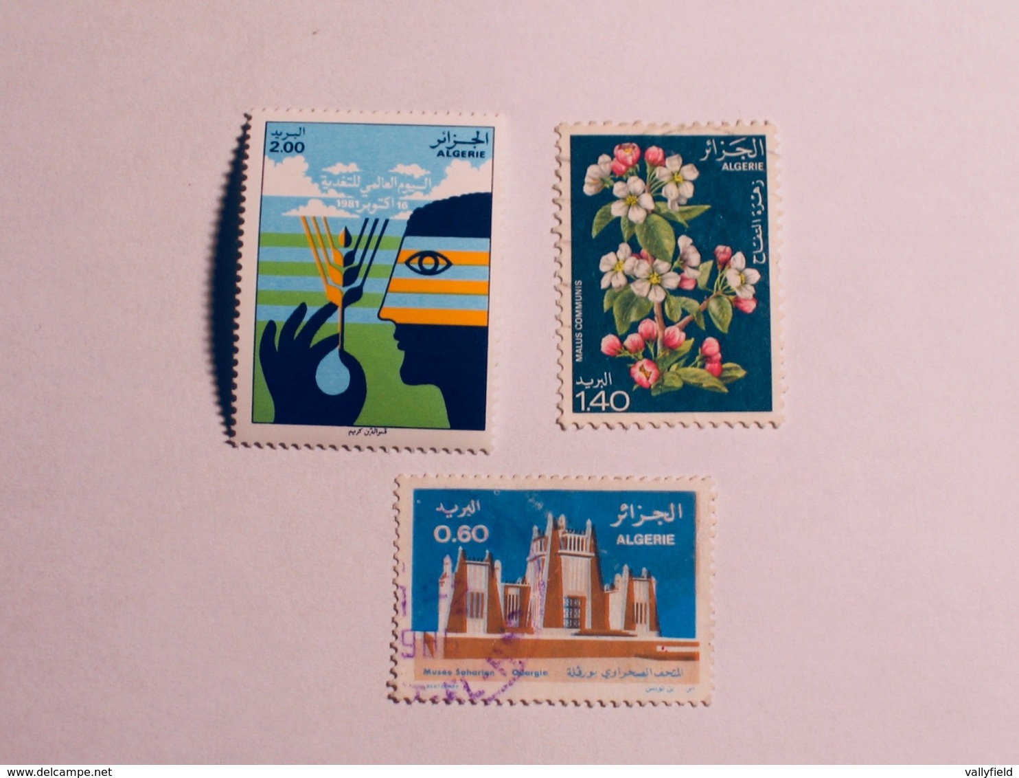 ALGÉRIE   1977-81    LOT# 13  FLOWER - Algérie (1962-...)