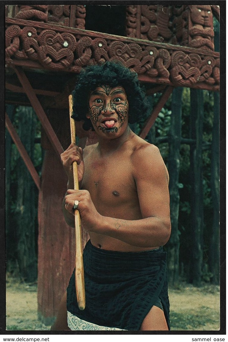 Einer Der Schönsten Männer Von New Zealand - Maori Challenge -  Ansichtskarte Ca.1984    (8332) - Océanie