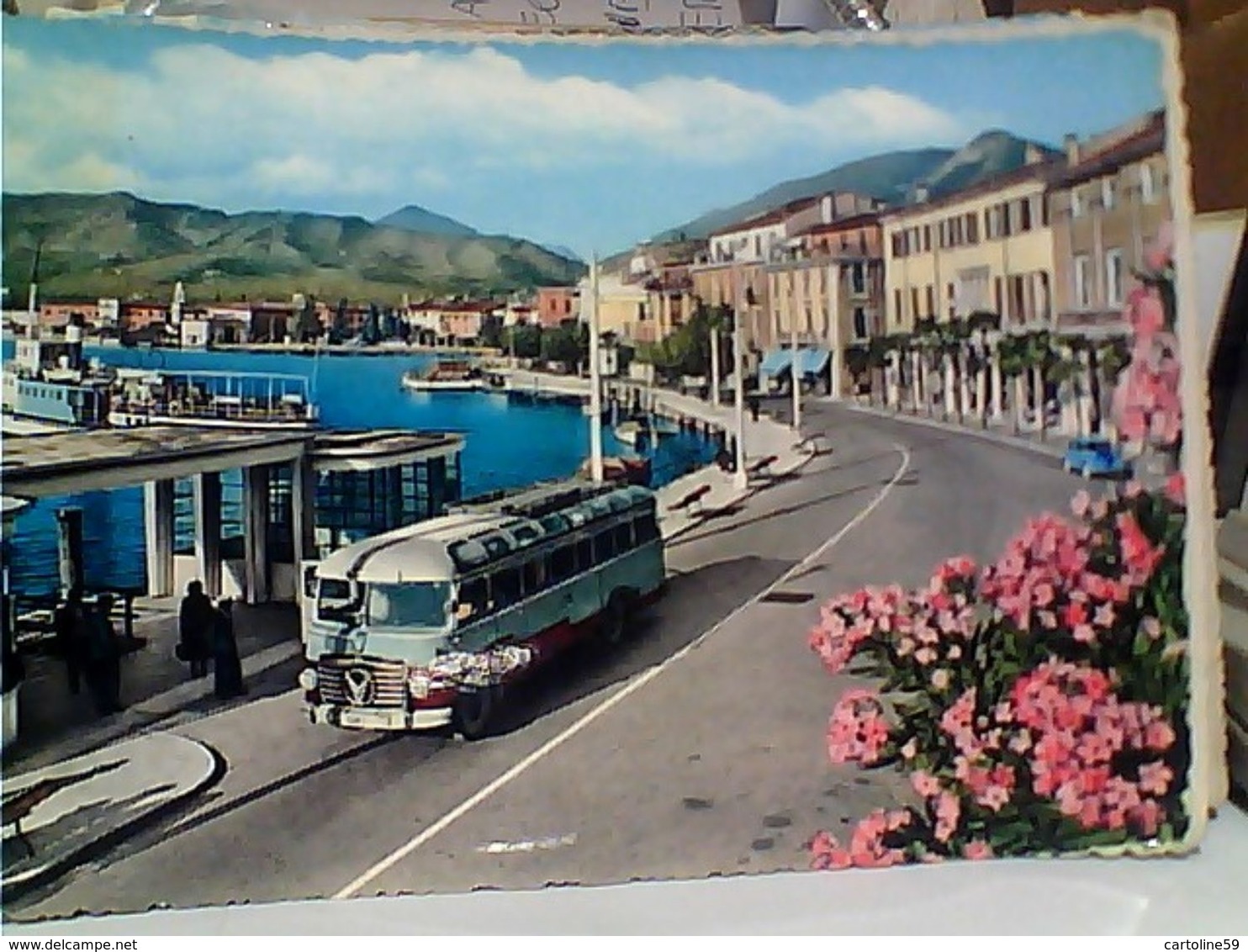 SALO AUTOBUS LAGO DI GARDA AUTO CAR  VB1960 GO22499 - Brescia