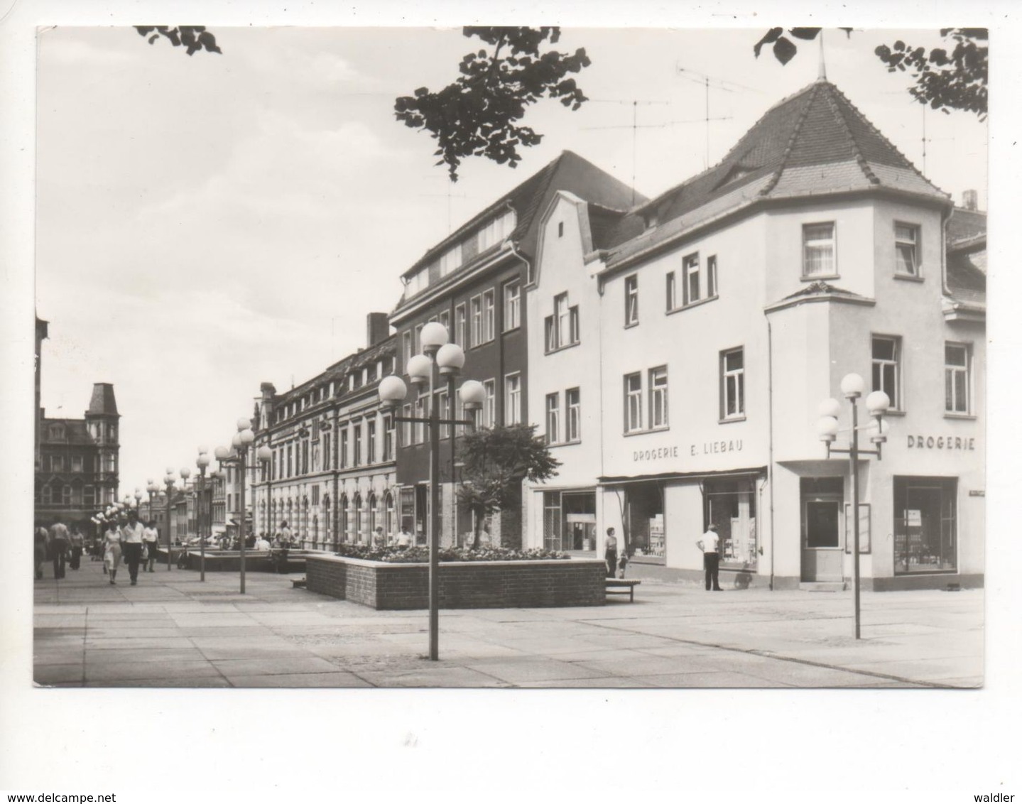 4350  BERNBURG (SAALE), THÄLMANNSTRASSE  1980 - Bernburg (Saale)