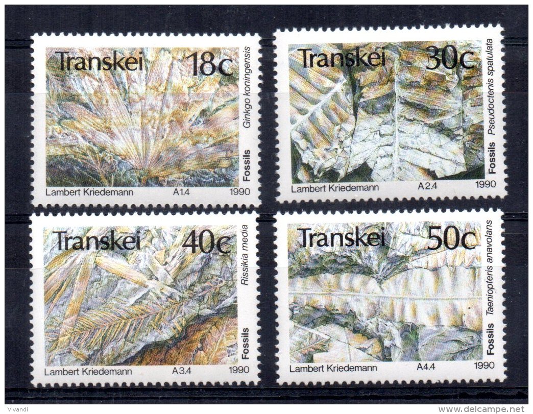 Transkei - 1990 - Plant Fossils - MNH - Transkei