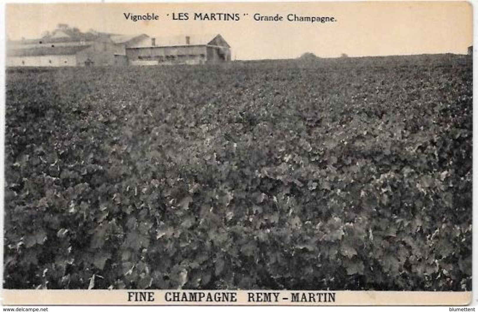 CPA Cognac Fine Champagne Remy Martin Métier Non Circulé Distillerie - Cognac