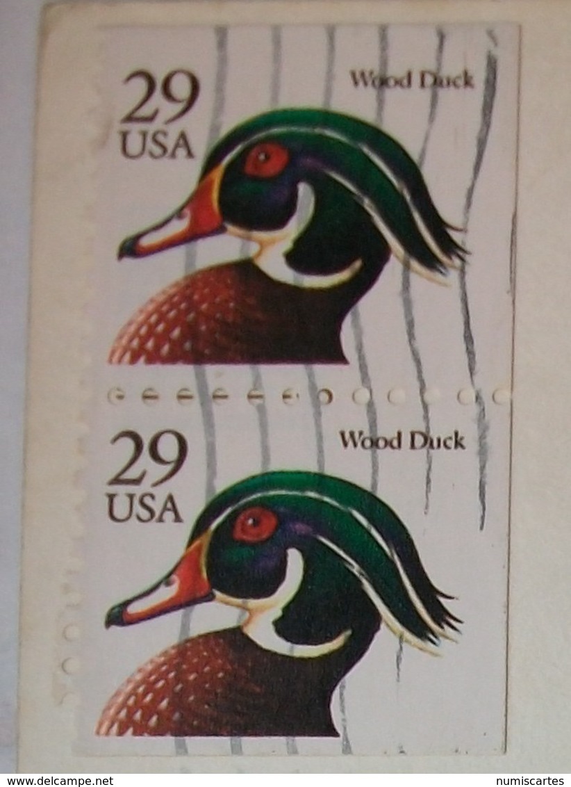 Carte Postal Etats Unis New York - Statue Of Liberty ( Couleur Oblitérée 2 Timbres Wood Duck) - Statue De La Liberté