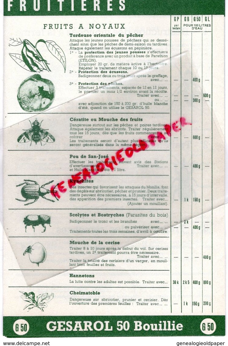 75- PARIS-GENNEVILLIERS- CATALOGUE GESAROL- DDT AU SERVICE AGRICULTURE- FLY TOX-22 RUE MARIGNAN-DORYPHORE-ALTISE - Agriculture