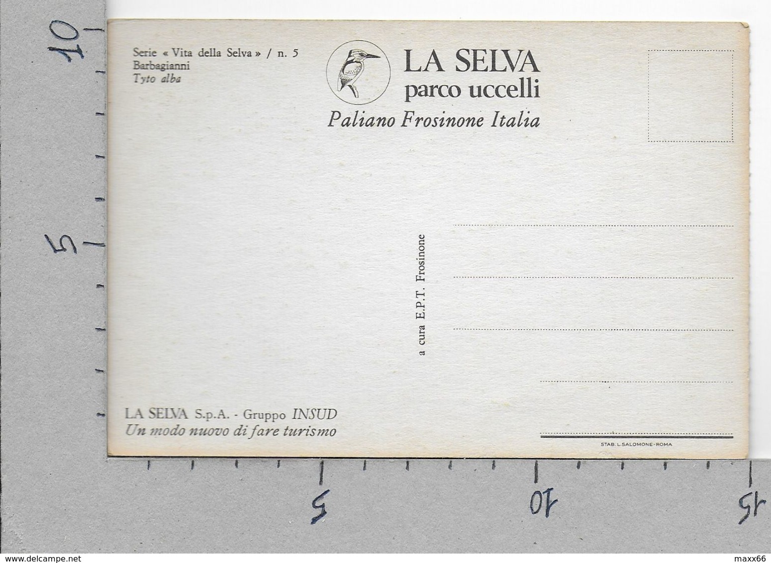 CARTOLINA NV ITALIA - PALIANO (FR) - La Selva - Parco Uccelli - Barbagianni - 10 X 15 - Uccelli