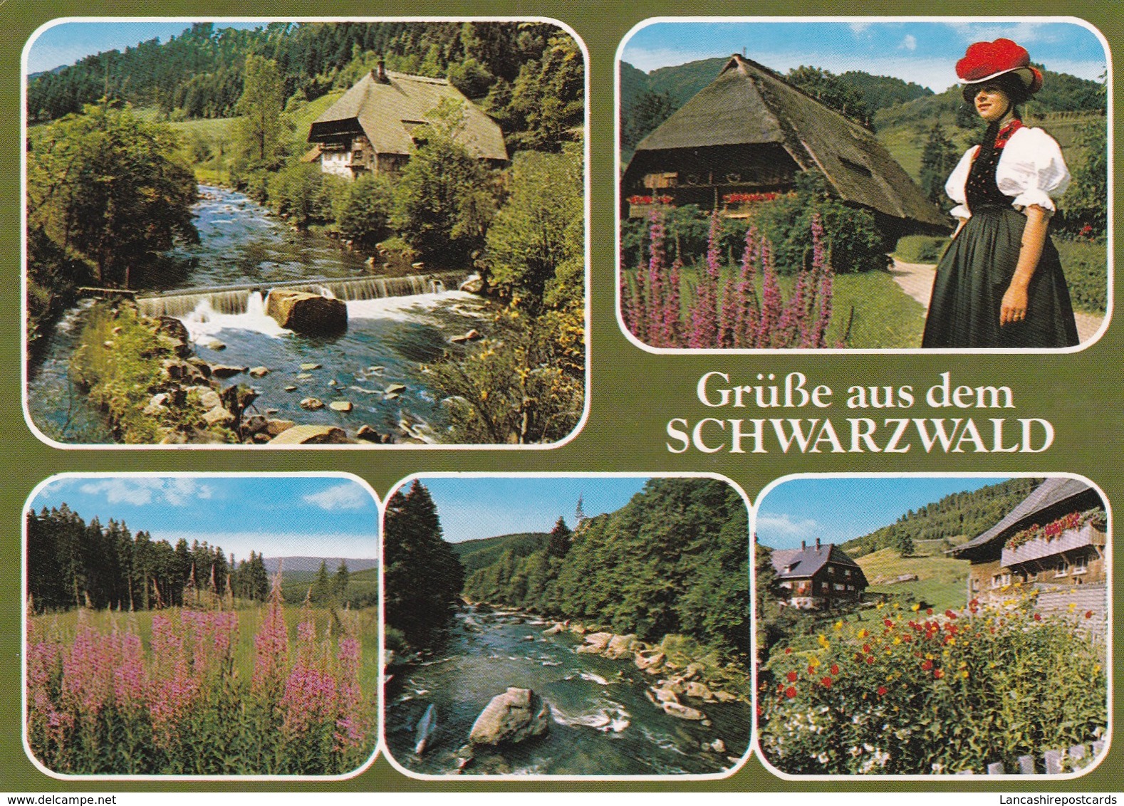 Postcard Grusse Aus Dem Schwarzwald My Ref  B22371 - Greetings From...