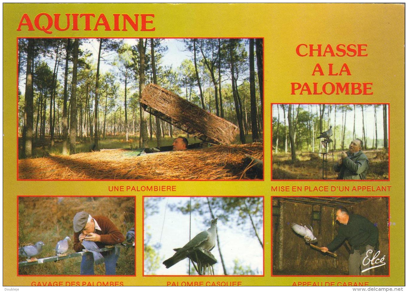 D33  AQUITAINE  Image De France- Chasse à La Palombe  ..... - Autres & Non Classés