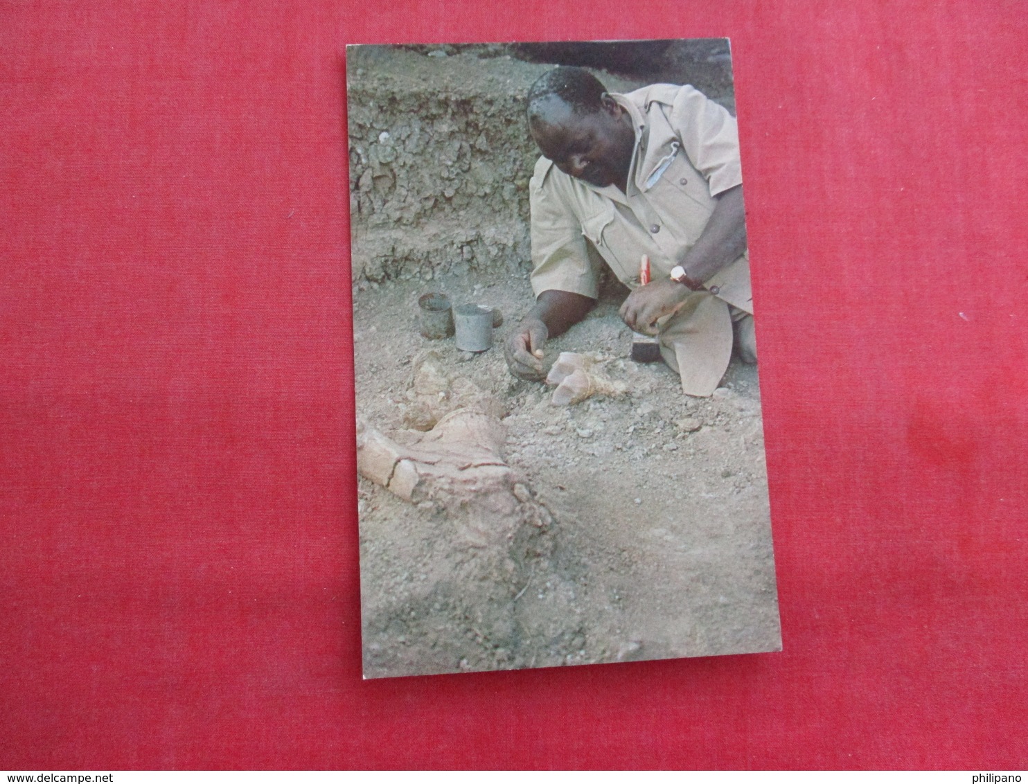 Dr Leakey;s African Assistant Heslan Mukiri Excavates A Fossil  Africa > Tanzania  Ref 2866 - Tanzania