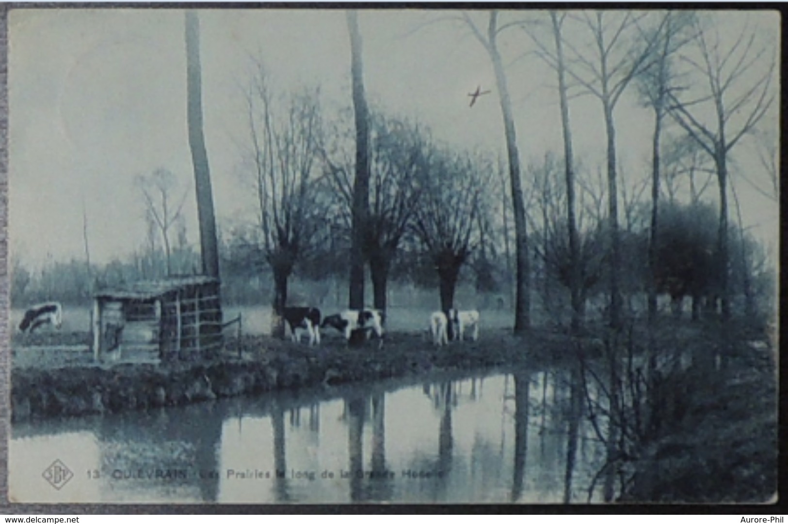 Quiévrain Prairie Le Long De La Grande Honnelle (Carte Bleutée) - Quiévrain