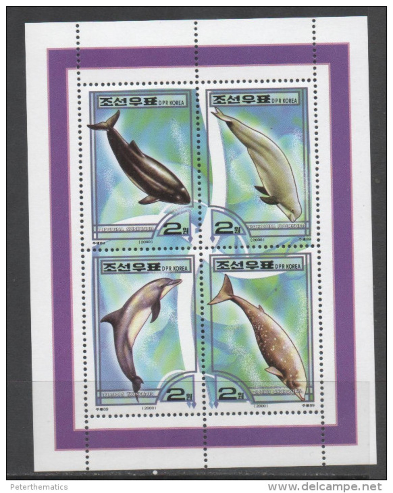 FAUNA, 2000, MARINE  MAMMALS, DOLPHINS, SHEETLET OF 4v - Dolphins