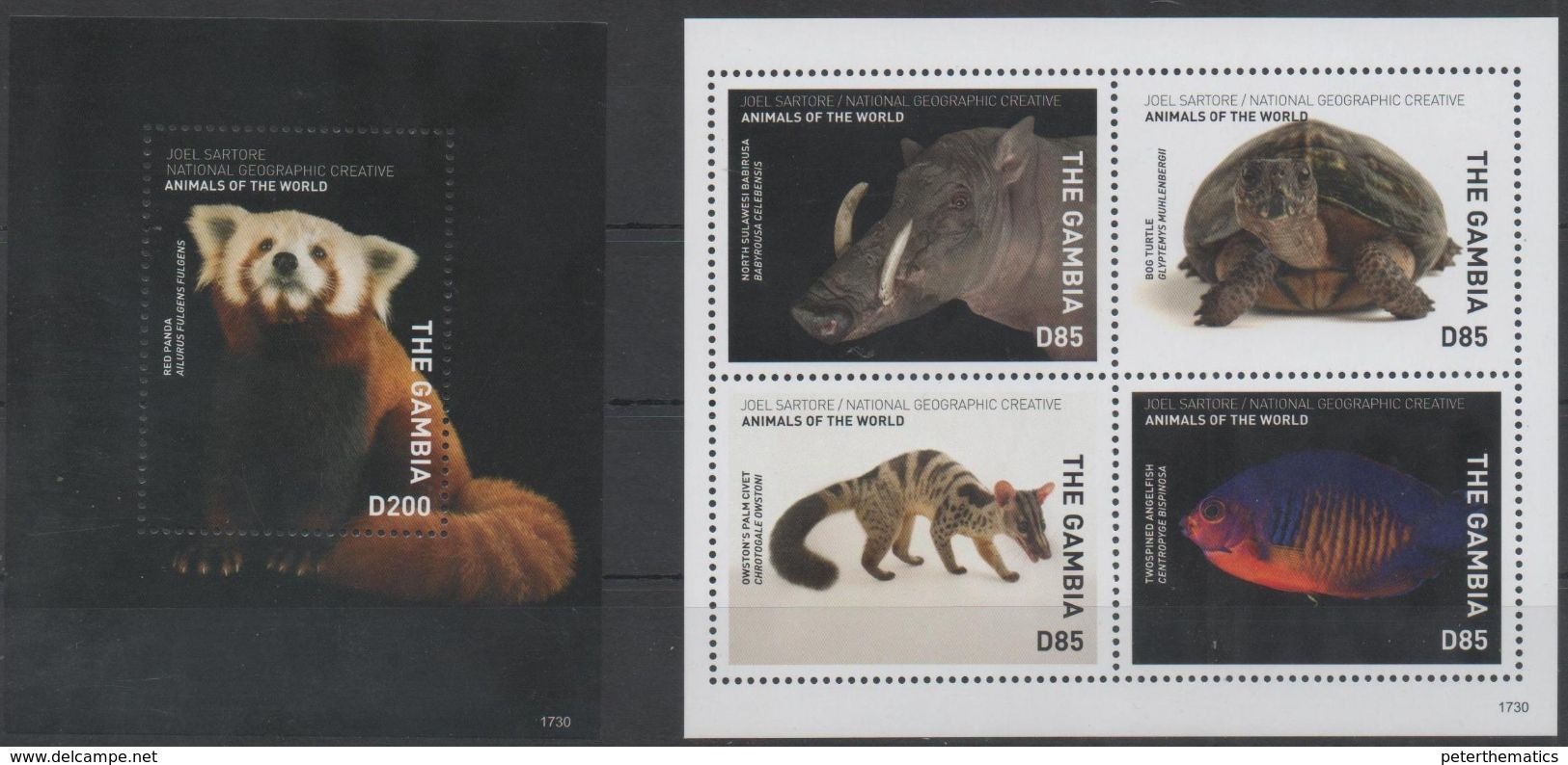 GAMBIA, 2017, MNH, NATIONAL GEOGRAPHIC, TURTLES, FISH,WARTHOGS , CIVETS, RED PANDAS,    SHEETLET+SS - Turtles