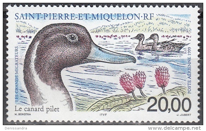 Saint-Pierre & Miquelon 1999 Michel 776 Neuf ** Cote (2007) 9.20 Euro Le Canard Pilet - Unused Stamps