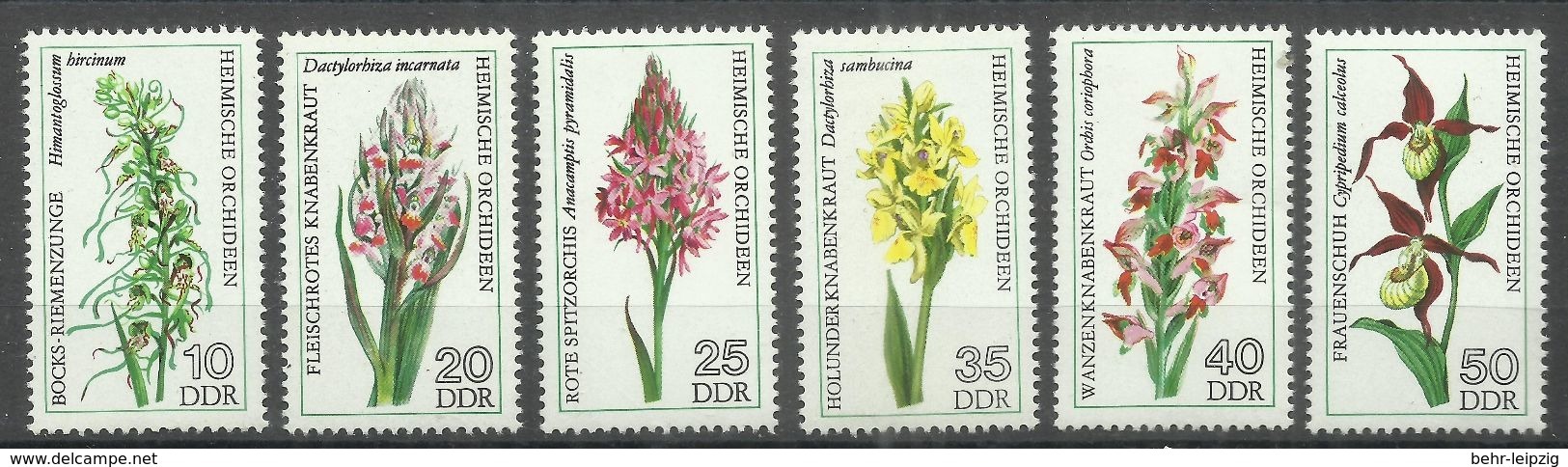 DDR 2135-40 "Heimische Orchideen, 6 Briefmarken Im Satz Kpl." Postfrisch Mi.-Preis 3,80 - Orchidées