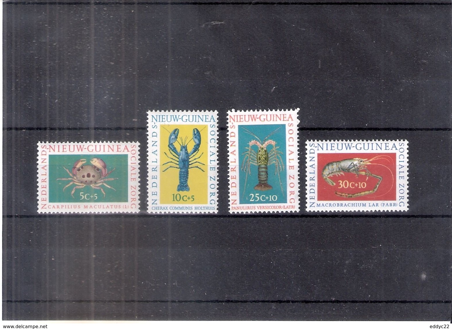 Crustacés - Nederlands Nieuw Guinea - Yv.73/76 - XX/MNH - Série Complète - Crustacés