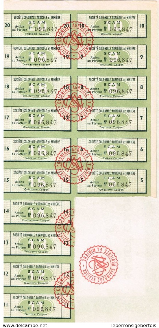 Action Ancienne - Sté Coloniale Agricole Et Minière SCAM - - Afrique