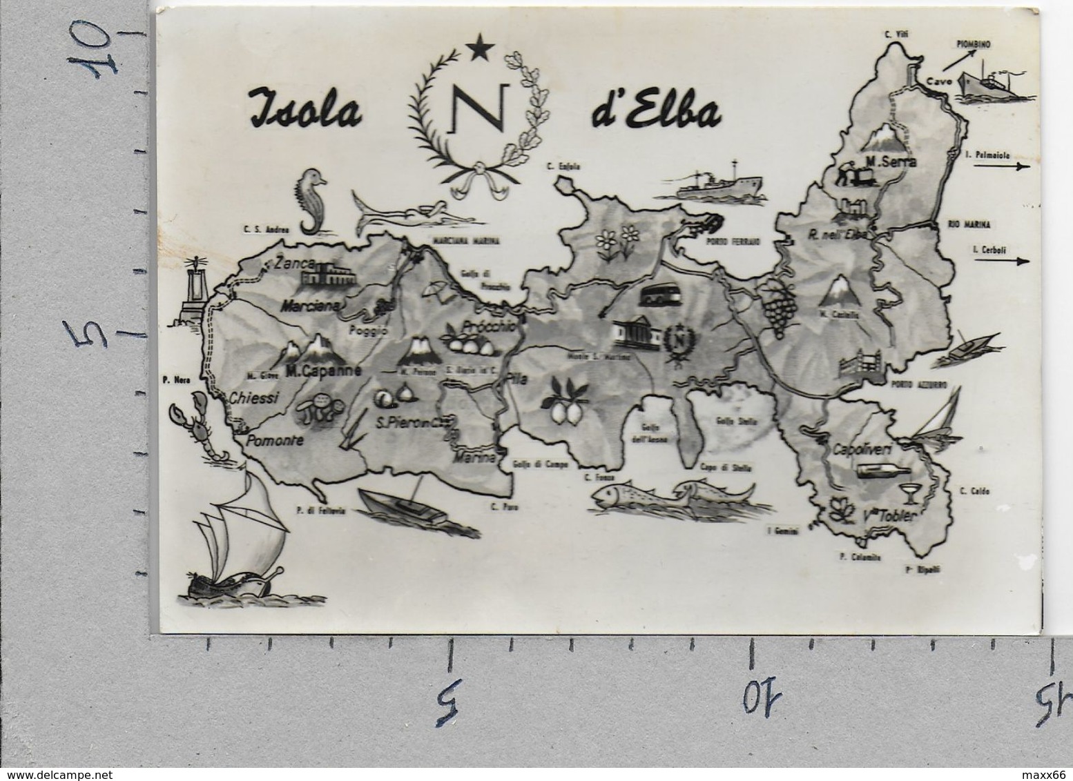 CARTOLINA VG ITALIA - ISOLA D'ELBA (LI) - Cartina - 10 X 15 - ANN. 1955 RIO MARINA - Livorno