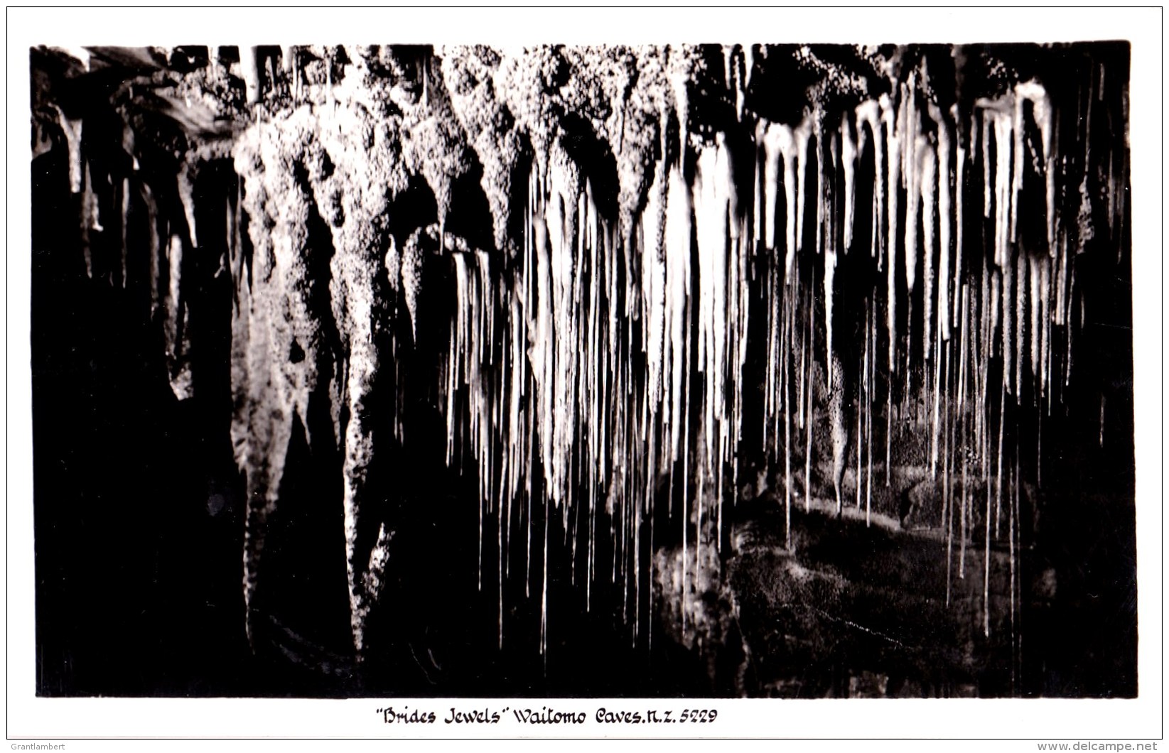 New Zealand - 'Bride's Jewels', Waitamo Caves - Blank Vintage PC, Message 1950 - New Zealand