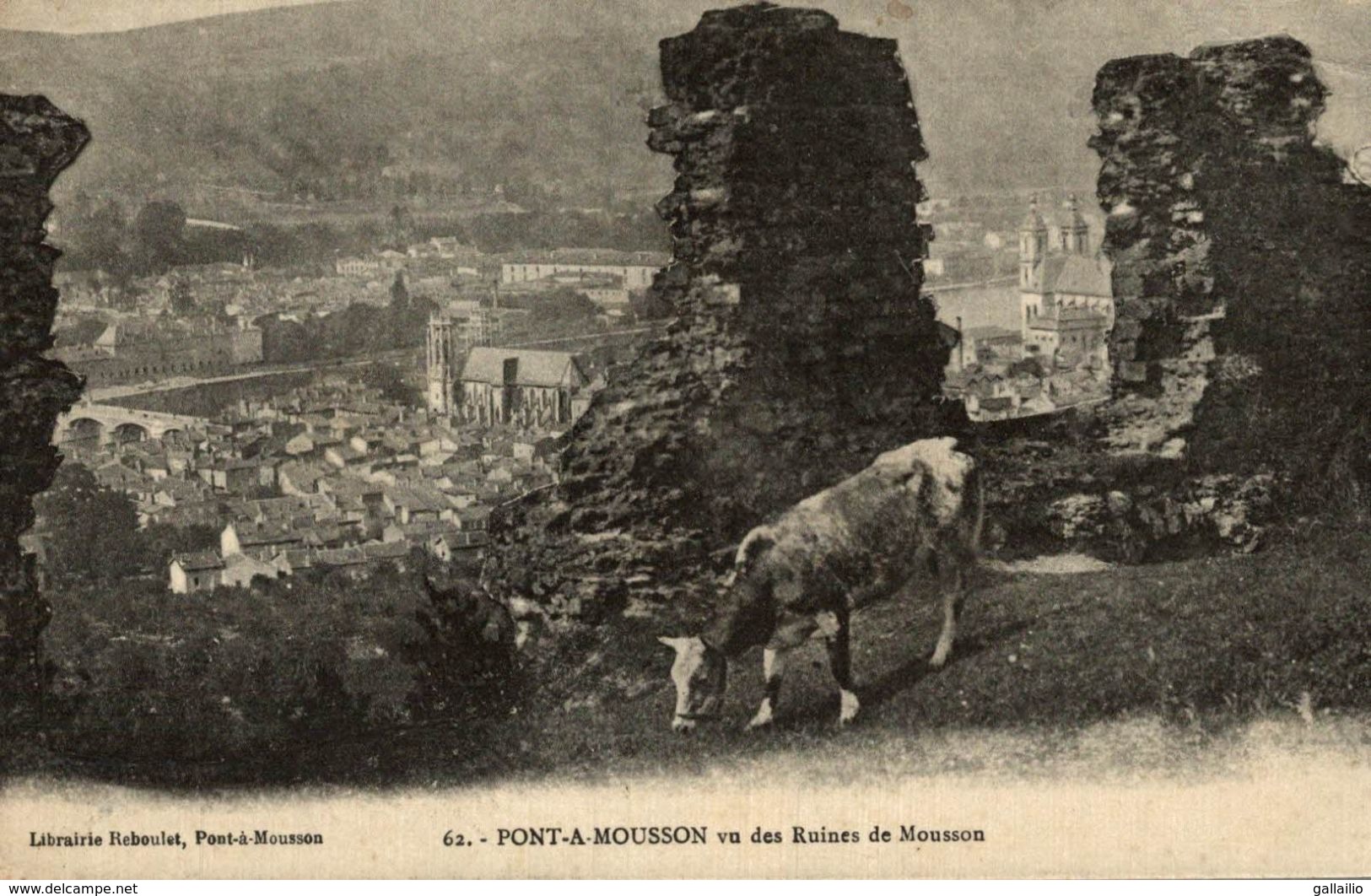 PONT A MOUSSON VU DES RUINES DE MOUSSON - Pont A Mousson