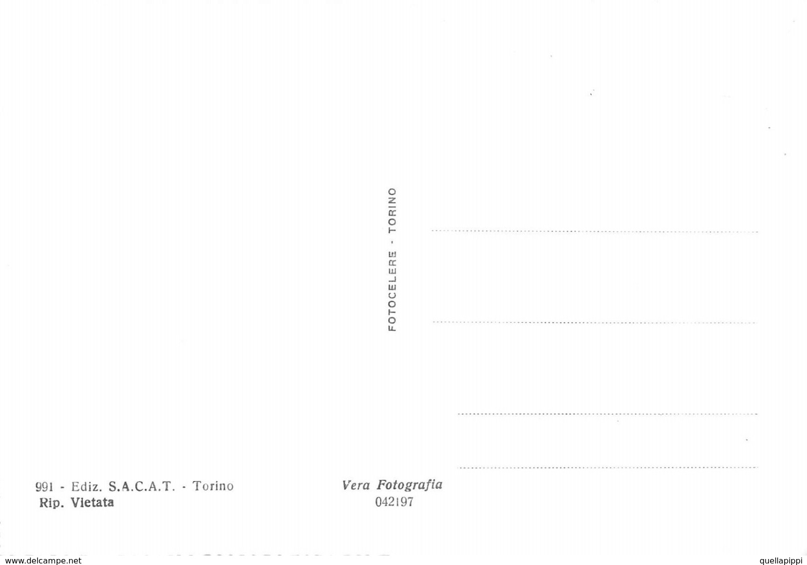 07461 "TORINO - GIARDINI DI VIA VIBO'" ANIMATA, VERA FOTO,S.A.C.A.T. 991 CART NON SPED - Parchi & Giardini