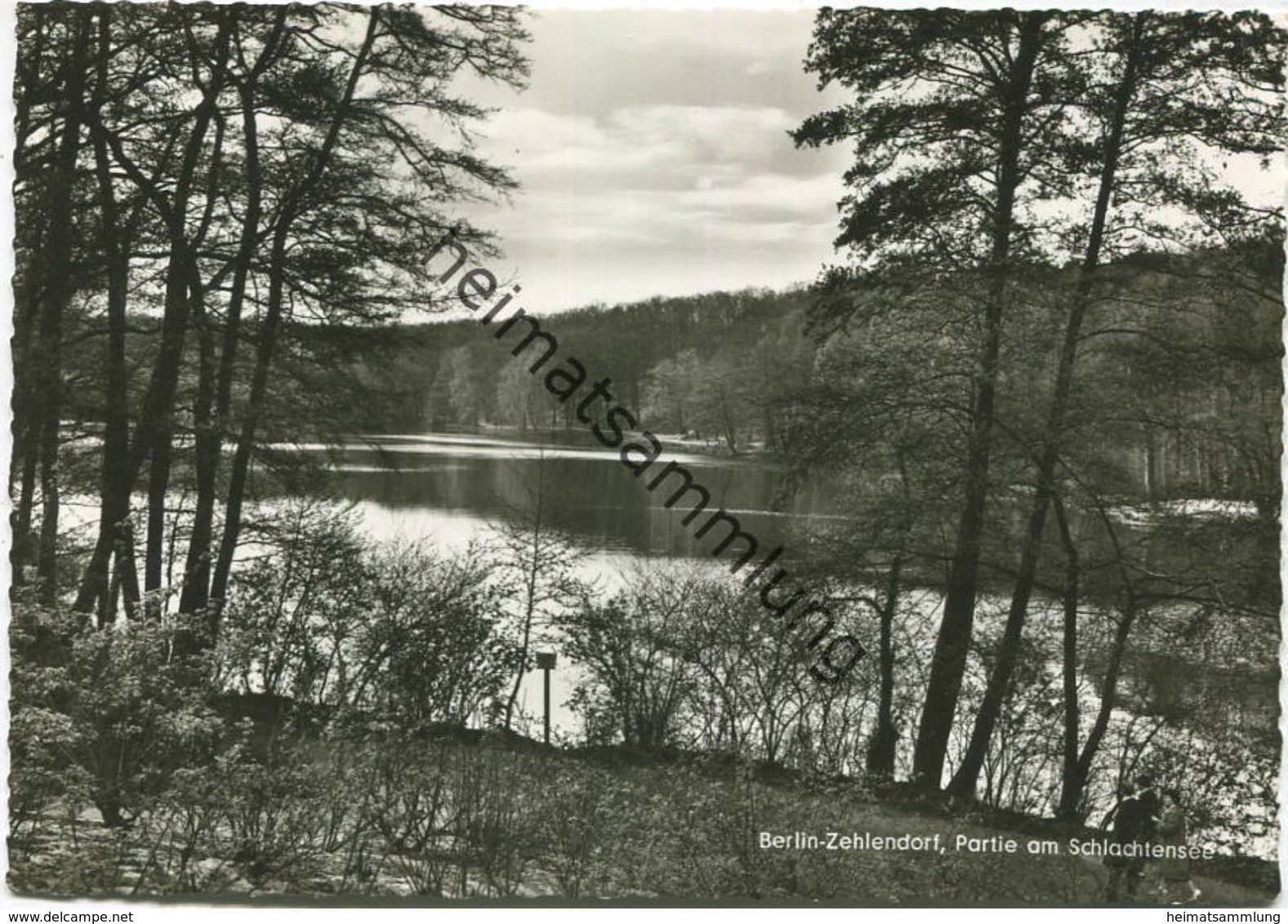 Berlin Zehlendorf - Partie Am Schlachtensee - Foto-AK Grossformat - Verlag Kunst Und Bild Berlin - Zehlendorf