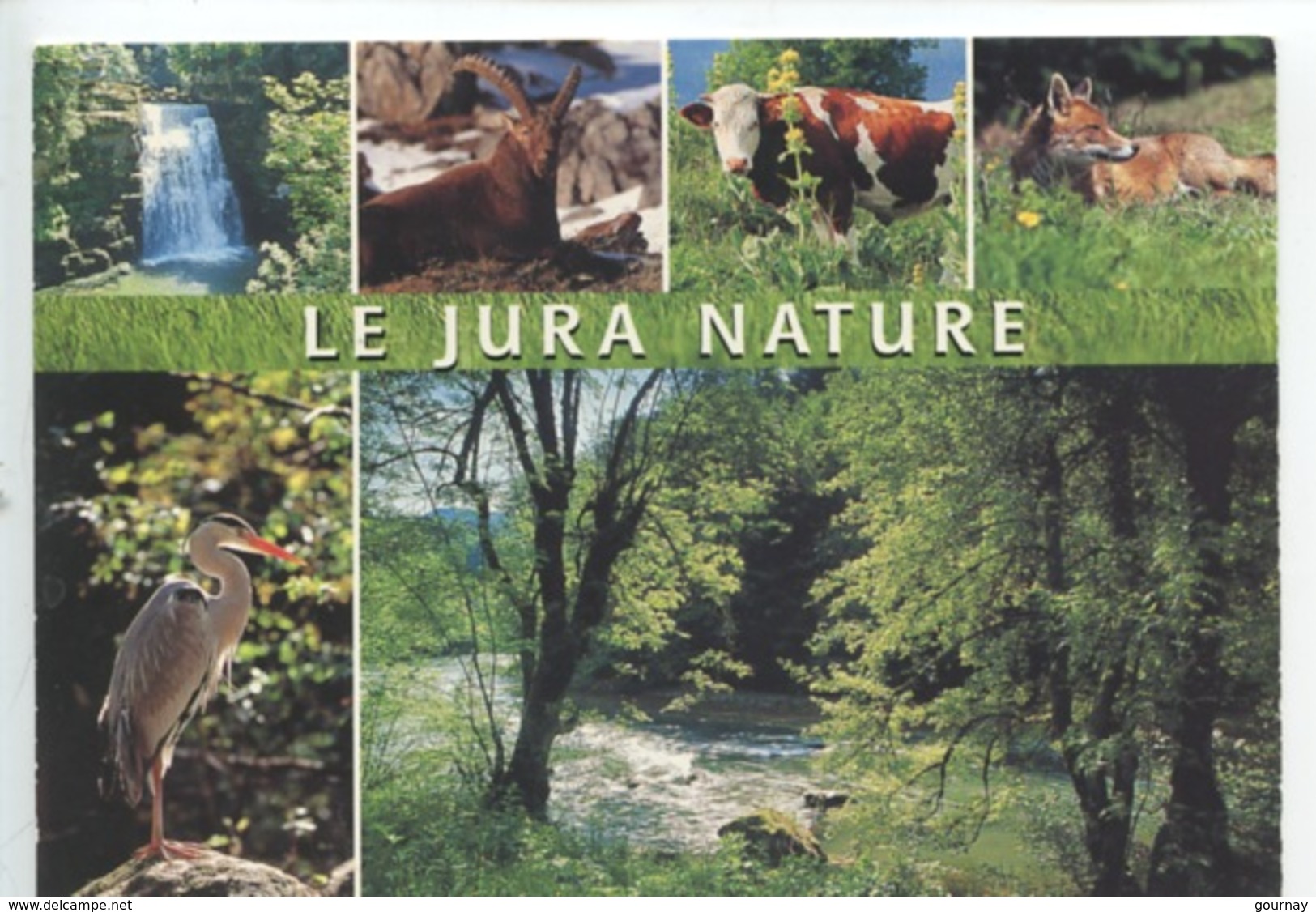 Le Jura Nature (multivues) Cascade Herisson Chamois Vache Renard Héron - Arbois