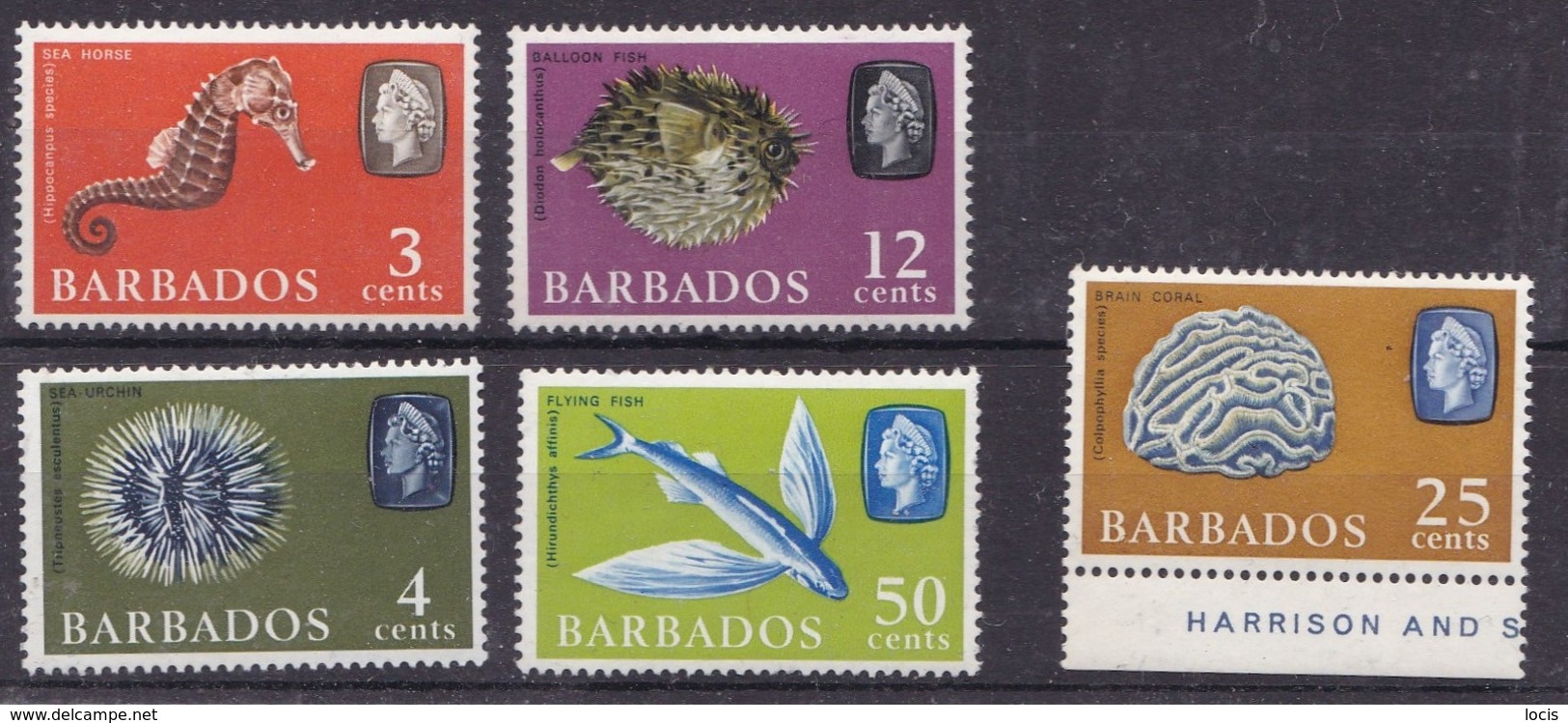 BARBADOS 1965 MNH** - Poissons