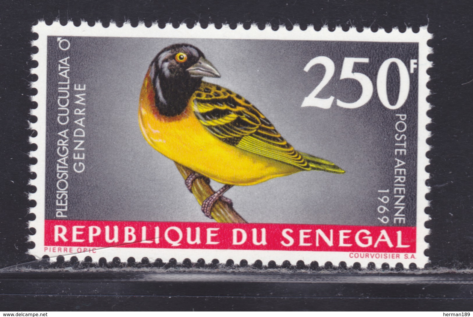 SENEGAL AERIENS N°   65 ** MNH Neuf Sans Charnière, TB (D5576) Oiseaux - 1968 - Sénégal (1960-...)