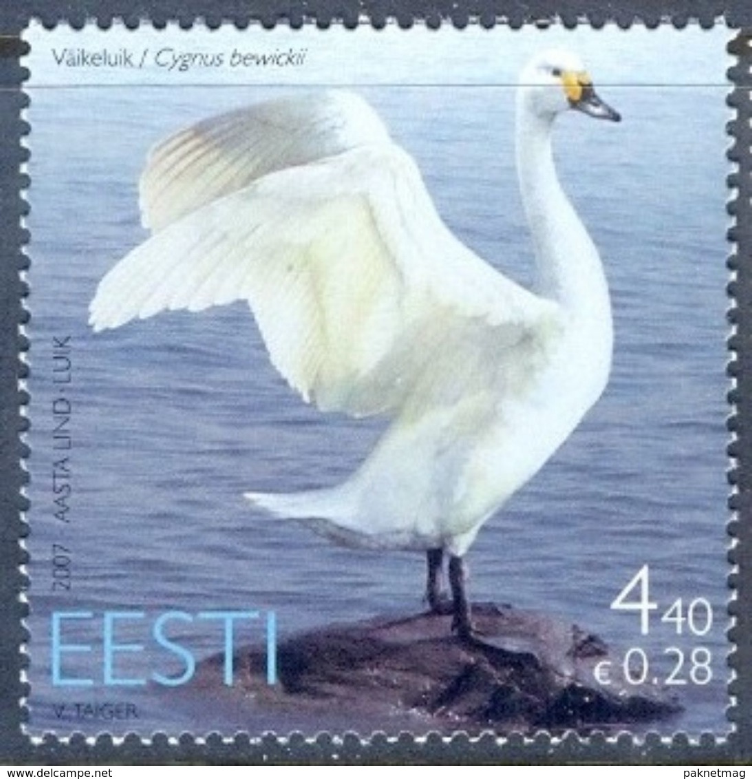 A193- Estonia Estonie Eesti 2007. Bird Of The Year. Swan. - Other & Unclassified