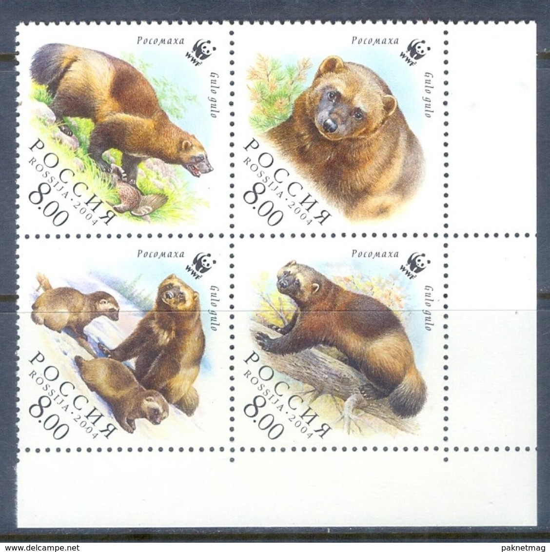 A201- Russia 2004 WWF W.W.F. Wolverine Bear Animals Mammals Bears World Wildlife Fund. - Unused Stamps