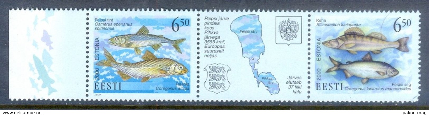 A247- Estland Estonia 2000 Joint Issue With Russia Fishes. - Fishes