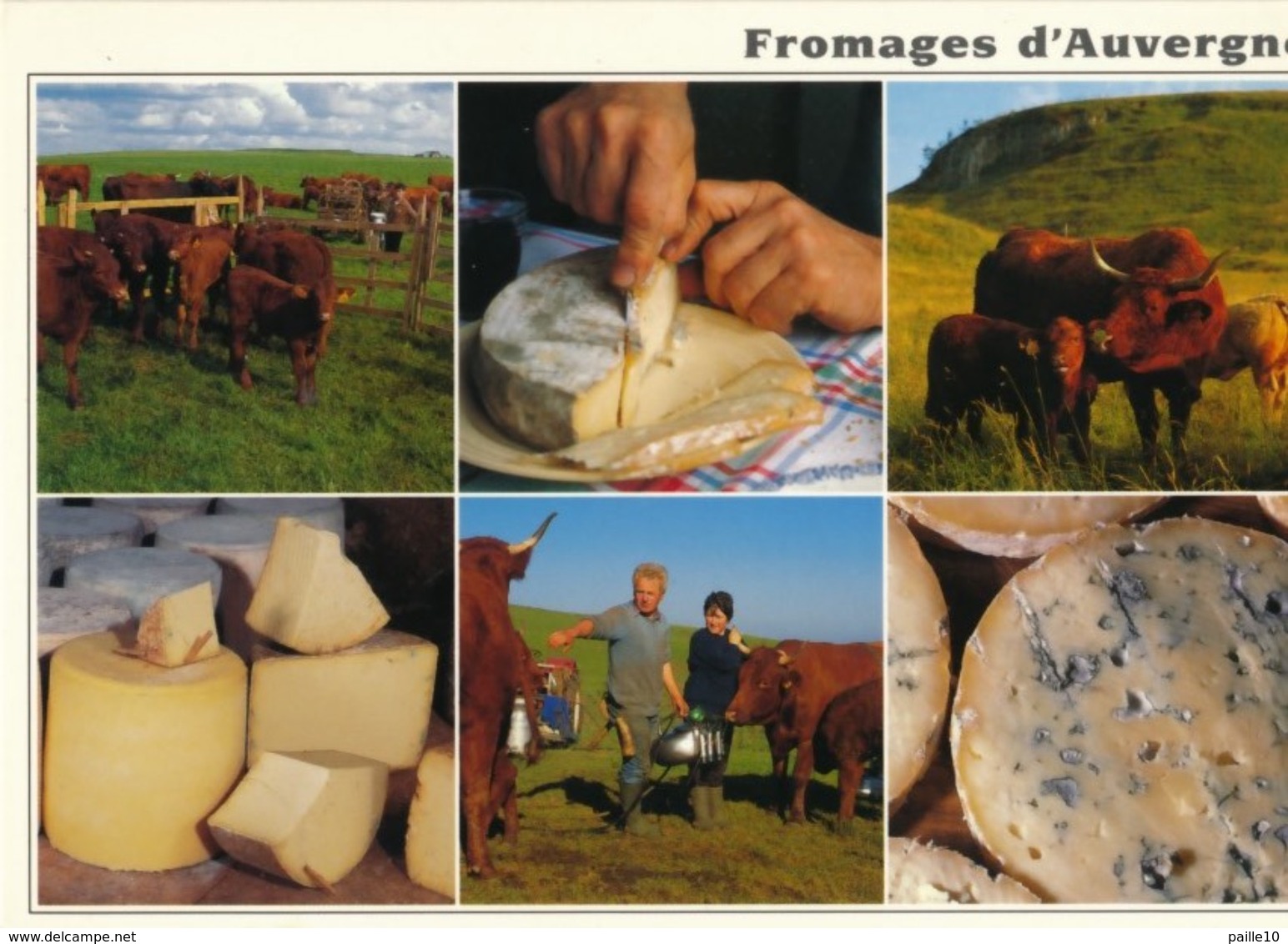 CPM FROMAGES D'AUVERGNE  - DANS LES PRAIRIES D'ALTITUDE LA TRAITE DES VACHES - EDITIONS DEBAISIEUX - Landbouwers