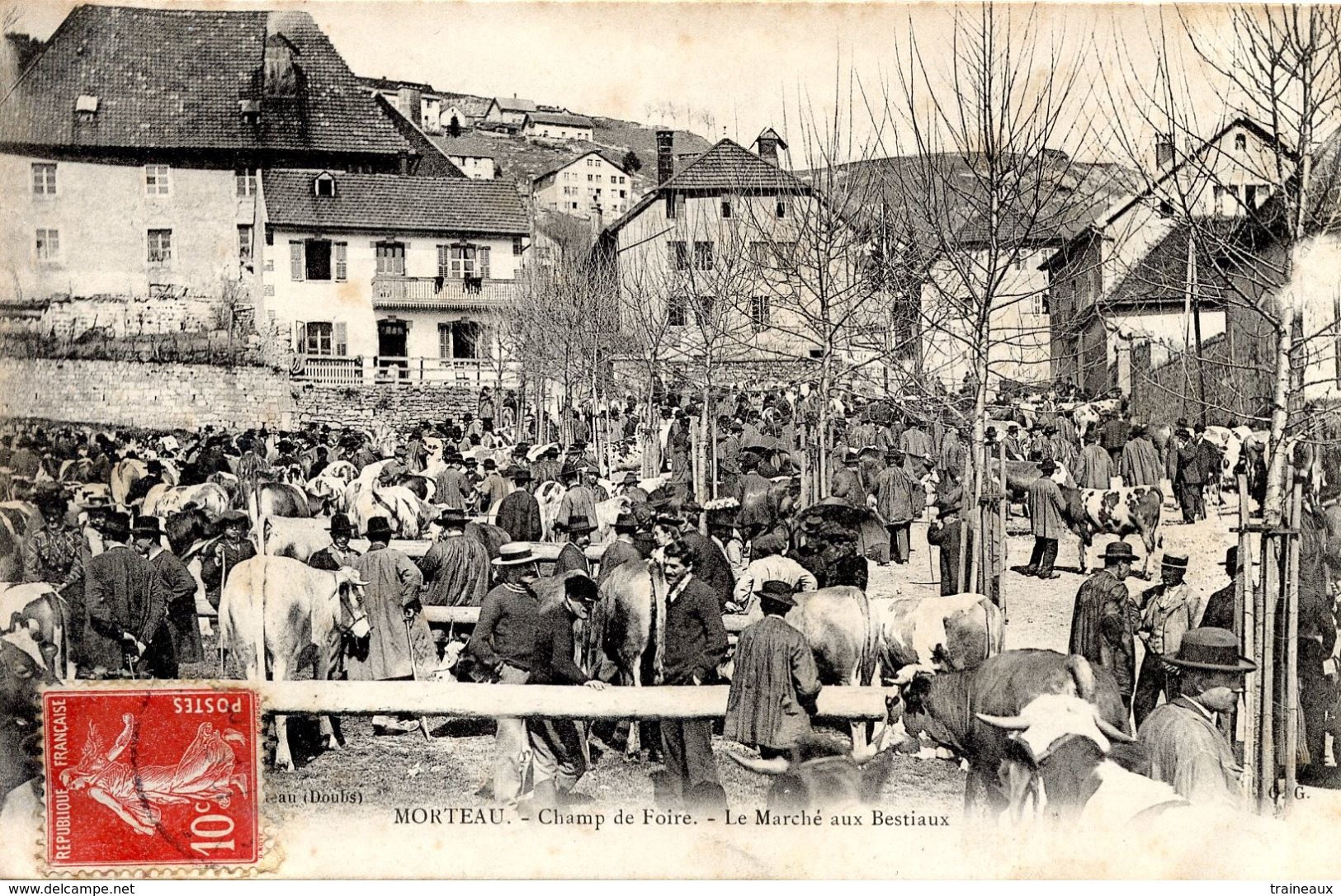 25 MORTEAU - CHAMP DE FOIRE - LE MARCHE AUX BESTIAUX - Autres & Non Classés