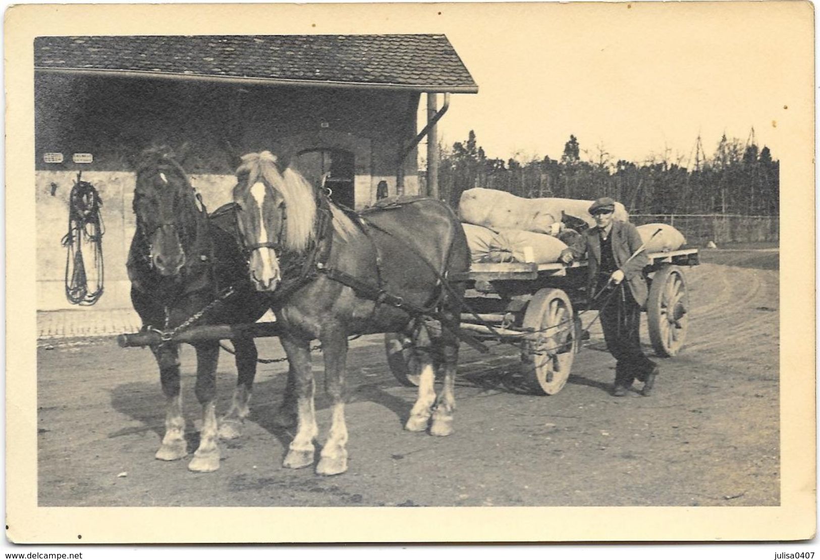 POSIEUX (Suisse) Ancienne Photographie Institut Agricole De Grangeneuve Attelage Gros Plan - Posieux