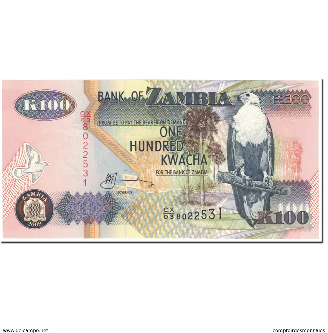 Billet, Zambie, 100 Kwacha, 2009, Undated (2009), KM:38h, NEUF - Zambie