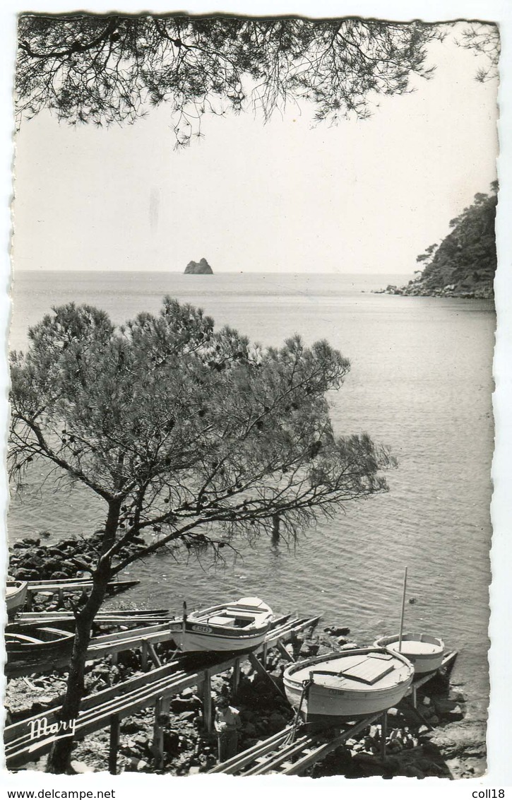 CPSM  83 LA SEYNE FABREGAS Rocher Des Deux Freres  1954 - La Seyne-sur-Mer